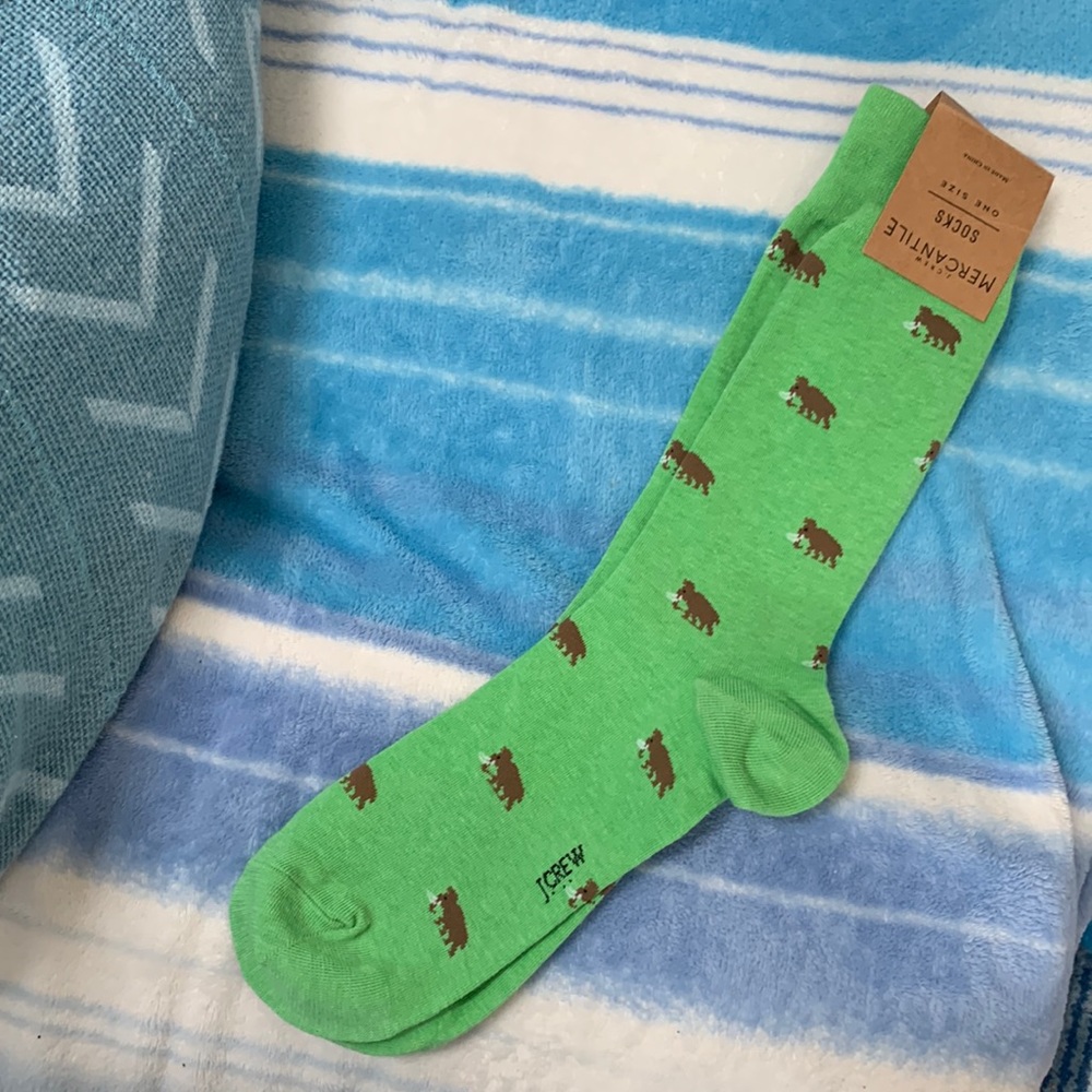 J Crew Woolly Mammoth Green socks